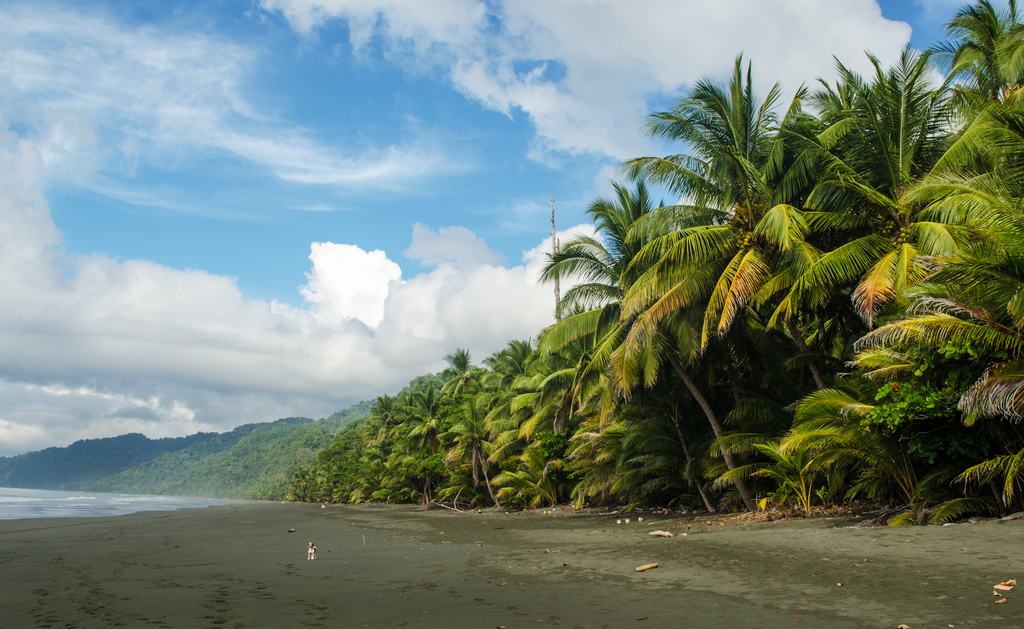 Parque Nacional De Corcovado Costa Rica Qu Hacer Vero4Travel